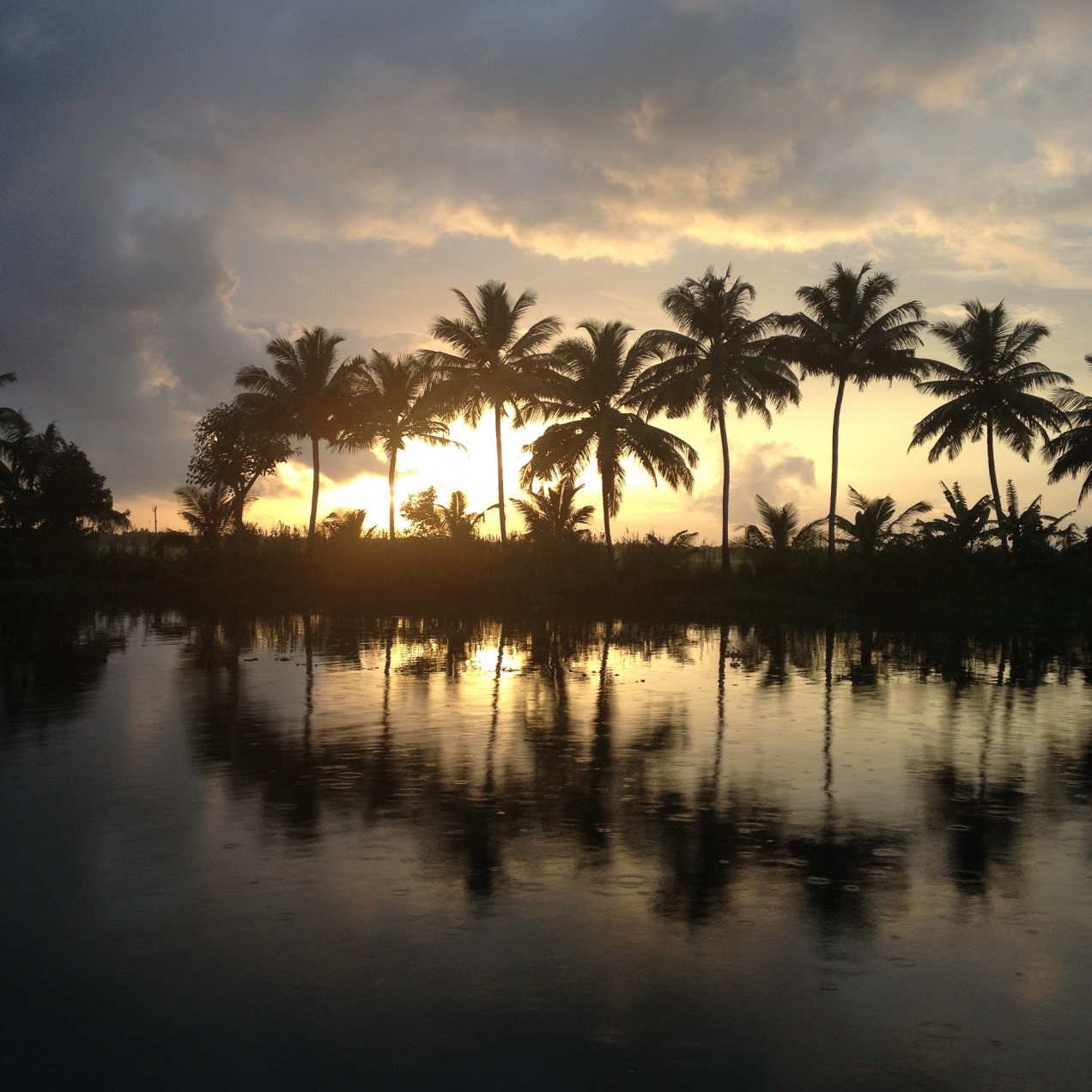 Backwaters of Kerala – Día 9