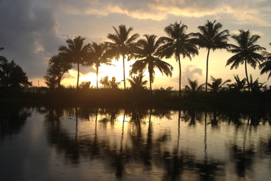 Backwaters of Kerala – Día 9