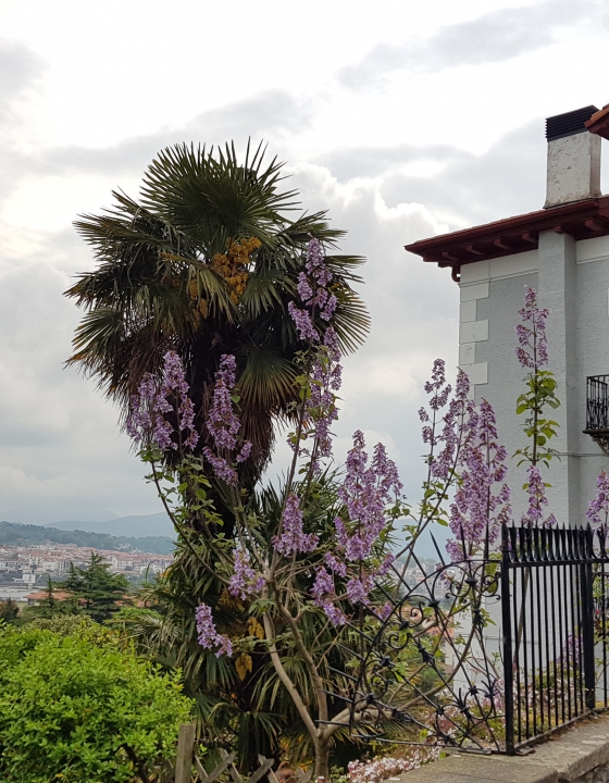 Hondarribia y Elizondo