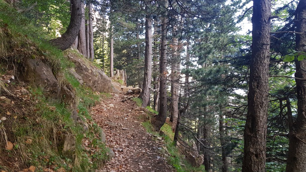 Camino de la senda de los cazadores